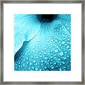 Aqua Droplets Framed Print