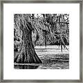 Cypress At Caddo Lake Framed Print