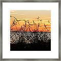Cypress Point Sunset Iii Panorama Framed Print