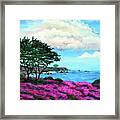 Cypress Trees By Lovers Point Framed Print