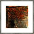 Cypress Trees In Red Framed Print