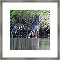 Cypress Waterscape Framed Print