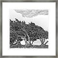 Cypresses Framed Print