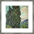 Cypresses Framed Print