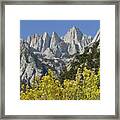 D2m6450 Mt. Whitney And Rabbit Brush Framed Print