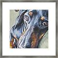 Dachshund Black And Tan Framed Print