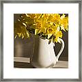 Daffodil Filled Jug Framed Print