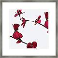 Dainty Red Double Stem Framed Print