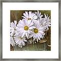 Daisies In Antique Watering Can Framed Print