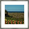 Daisy Dune Fence Delray Beach Florida Framed Print