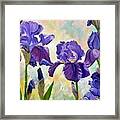 Dance Of The Iris Framed Print