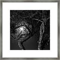 Dancing By The Light Of The Moon Framed Print