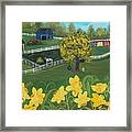 Dancing Daffodils Framed Print