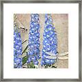 Dancing In The Wind - Damselfly N Dragonfly W Delphinium Framed Print