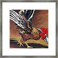 Dancing Rooster Framed Print