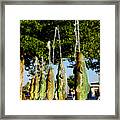 Dancing Trout Fountain Framed Print