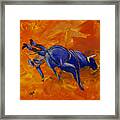 Danny At The Rodeo Framed Print