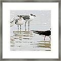 Dare To Be Different Framed Print