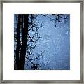 Dark Tree Silhouette Framed Print