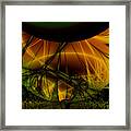 Dark Woods Framed Print