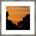 Dawn In The Forest Framed Print