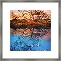 Dawn Over The Reef Framed Print
