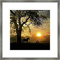 Dawn Framed Print