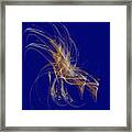 Day Fireworks Framed Print