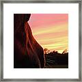 Day Is Done Framed Print