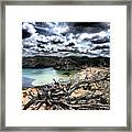 Dead Nature Under Stormy Light In Mediterranean Beach Framed Print