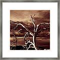 Dead Tree In Death Valley 11 Framed Print