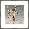 Dead Tree, Outback. Framed Print