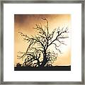 Dead Tree Silhouette Framed Print