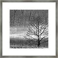 December Mist - D009785-bw Framed Print
