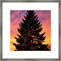 December Sunset Framed Print