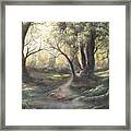 Deep Forest Framed Print