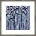 Deep In The Forest Framed Print