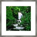 Deep In The Smoky Mountains Framed Print