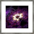 Deep Purple Velvet Flower Framed Print
