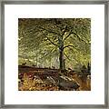 Deer In A Wood Framed Print