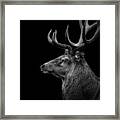 Deer In Black And White Framed Print
