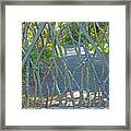 Deer Proof Gate Framed Print