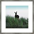 Deer Stop Framed Print