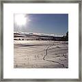 Deer Tracks Framed Print