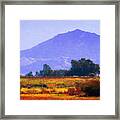 Delta Farmland Framed Print