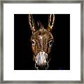 Dem-donkey Framed Print