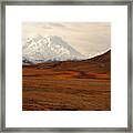 Denali And Tundra In Autumn Framed Print
