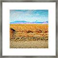 Desert Amber Waves Framed Print