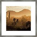 Desert Dust Framed Print