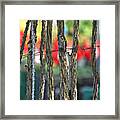 Desert Fence Framed Print